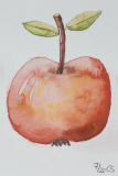 Apfel (Tusche coloriert, 10x15, Juli 2020)