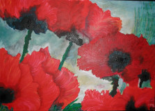 Mohnblumen (Acryl 40x50, April 2006)