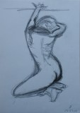 Akt 01  (Kohle, 30x40cm, März 2009)