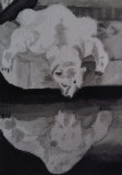 Eisbär sieht sein Spiegelbild (aquarell, 10x15, Sept. 2010)