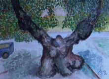 Baum (aquarell, 20x25, Okt. 2010)