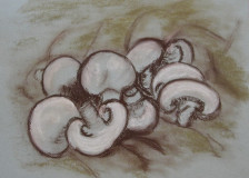 Stillleben mit Pilzen (Bleistift, 20x30, Mai 2008)