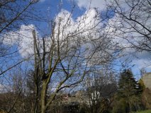 Wolkenimpressionen (2016 Juli)
