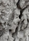 Sandgesicht (2016 Juli)