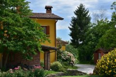 Stillleben mit Haus  (2016 Juni)