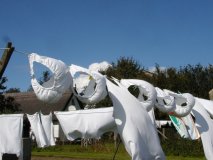 Strandgut Potenz (2008 Juli)