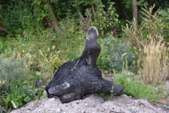 Seelöwe (Strandgut, 2016Juni)