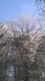 Winterimpressionen 1 (2016 Jan)