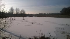 Winterimpressionen 2 (2016 Jan)