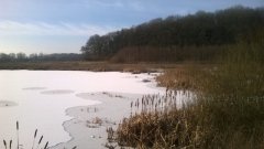 Winterimpressionen 3 (2016 Jan)