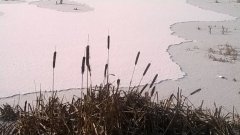 Winterimpressionen 4 (2016 Jan)